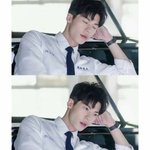 [19] 와 개 이쁘다....
