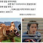 근데 새학기 1도 안두려움..