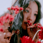 피프티피프티 <b>시오</b> 속눈썹 영양제 뭐쓰냐