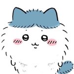 콧볼축소 할말 추반좀…