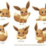 <b>졸</b><b>귀</b>