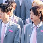 차이<b>진신</b> 장슈아이보