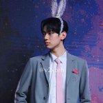 댕냥이 차이진신 보고가