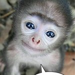 새학기 애들 다 <b>무덤덤</b>해보여서 나만 ㅈㄴ 힘든줄알았는데