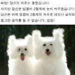 [드루와] 나 방금 굳은 <b>결심</b>을 함