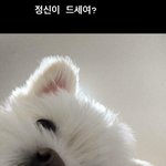 [드루와] 혼자다니는 판녀들아 이렇게 <b>다니</b>셈