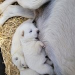 [드루와] <b>힐링</b>하는 시간이 됐으면 한다