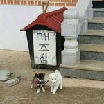 [댓글부탁해] 다들 <b>첫키스</b> 몇살이야