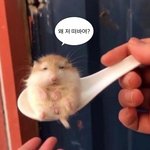 [19] 좋아하는 사람 연애<b>상담</b>해준적 있냐?