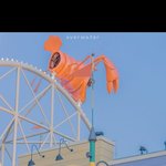 나 이거 트라우만가..?