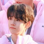 보플 디즈니상은 <b>올리</b>