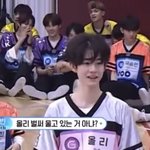 너네 초콜릿 좋아해..?