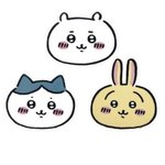 도서부 ㅇㄸ <b>학</b><b>바</b>학인거 앎