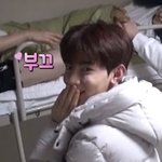 [댓글부탁해] 너네도 반팔 안에 나시 <b>입음</b>?