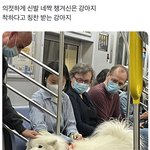[댓글부탁해] 근데 애들 <b>은근</b> 아이폰 안쓰네