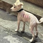 [댓글부탁해] 이거 무슨<b>글씨</b> 같아?