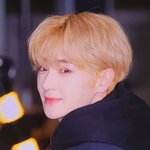 보놀하다가 멱살 잡혀 끌려감