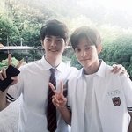 보플 세계관 망쳐드림