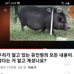<b>진화</b>론 타파 short!-4편 네브라스카 유인원은 돼지 이빨 뼈...