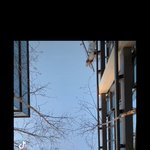 [모두드루와] 방탄 제이홉 X 투바투 연준 휴닝카이