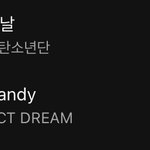 [NCT칠프] 드림판 망햇네