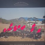 피크타임에 출현중인 팀 24 소속 김현재(블랙식스 더킹) 을 공론화...