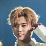 [NCT드림] 뭐야 <b>인형</b>이야?