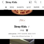 [스키즈] 우와 우리 <b>유튜브</b> 1200만!!