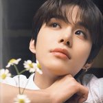 [<b>NCT정우</b>] 이 사진 진짜 레전드야 포토북이래