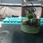 [방탄소년단] 지미나 나두 마리<b>모</b>키워어어어ㅠㅠㅠㅜ