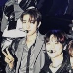 [NCT드림] 학학 고양이들 얼굴 뭐임