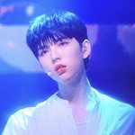엔터에서 맨날 보플만 들은 결과