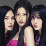 트와 <b>일녀</b>들이 사랑받는 이유