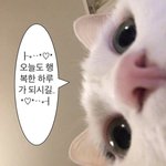 [댓글부탁해] 고1 학생회 해도 대?