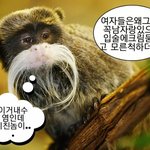 [댓글부탁해] 그 말 뭐라<b>하지</b> 집단지성좀 제발