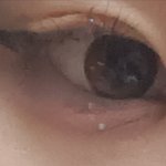 화장 잘하는 애들 들아<b>와바</b>