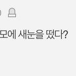 남미새의 <b>정의</b>는 바뀌었다