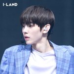 엔하이픈 박성훈 <b>아이</b><b>랜드</b> <b>때</b>