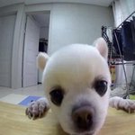 야드라 <b>잘</b><b>자</b>!!
