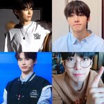 보플 닮은꼴(지극히내기준)