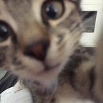 [드루와] 얘들아 이 유명한 <b>팝송</b> 제목이 머냐..?