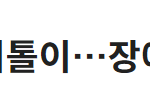 있는 장애인은 신경안쓰고 쓰잘데기없이 장애개념 늘리누