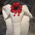 [NCT드림] <b>코끼리</b>?