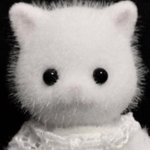 [드루와] 이거 옷 어디건지 아는사람