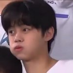 우리 강아지 메이크업 <b>전후</b>