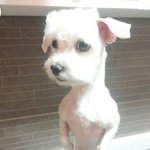 난 ㄹㅇ 솔직히 말하면 에<b>포장</b> 데뷔 하면