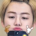 [NCT드림] 재미니인스스