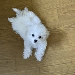 나 <b>청소</b>는 깔끔히 하는데 씻는걸 잘 안함