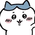 [댓글부탁해] 내가 원하는 보플 데뷔조 (다들 적고가셈)