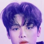 보플 소신발언